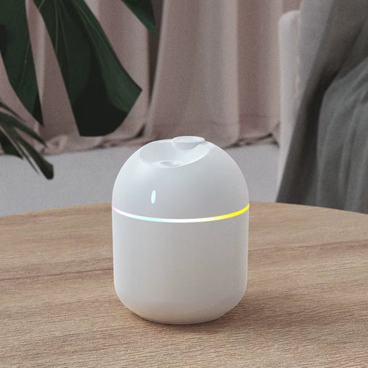 LED Night Light Humidifier